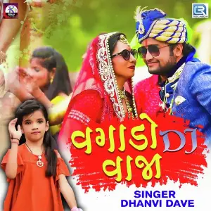 Vagado Dj Vaaja image