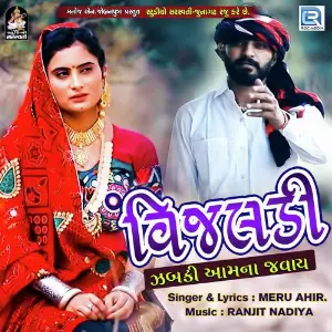 Vijaldi Zabaki Aam Na Javay image