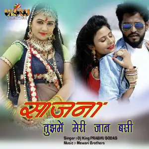 Sajana Tujme Meri Jan Basi image