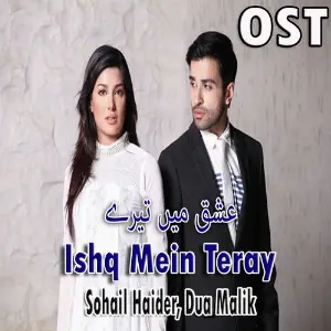 Ishq Mein Teray (From Ishq Mein Teray) image