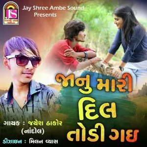 Janu Mari Dil Todi Gai image