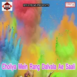 Choliya Mein Rang Dalvala Ae Saali image