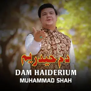 Dam Haiderium image