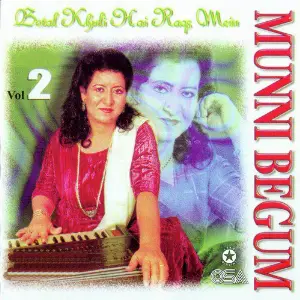 Botal Khuli Hai Raqs Mein, Vol. 2 image