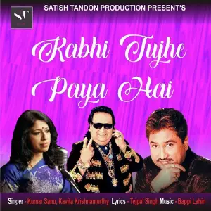 Kabhi Tujhe Paya Hai image