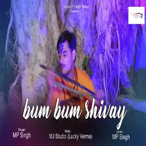 Bum Bum Shivay image