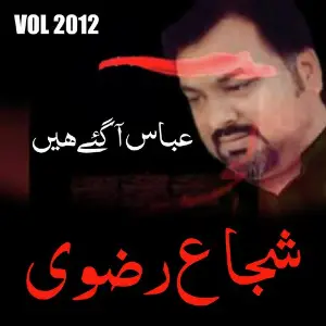 Shuja Rizvi - Abbas Agyye Hain, Vol. 2012 image