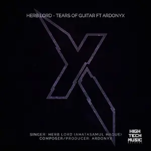 Tears of Guitar image