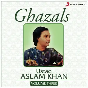 Ghazals, Vol. 3 image