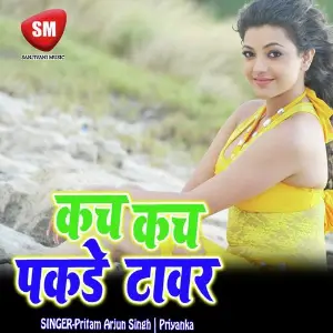 Kacha Kach Pakade Tawar (Bhojpuri Song) image
