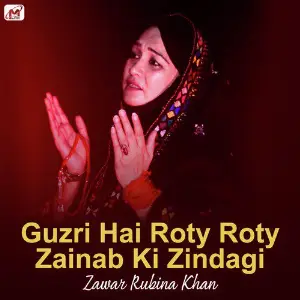 Guzri Hai Roty Roty Zainab Ki Zindagi - Single image