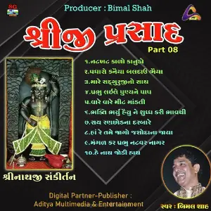 Shreeji Prasad-Shreenathji Sankirtan Pt.08 image