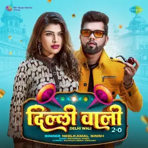 Delhi Wali 2.0 image