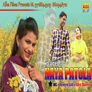 Naya Patola image