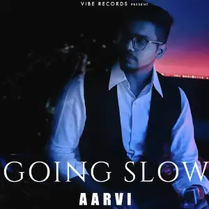 Going Slow image