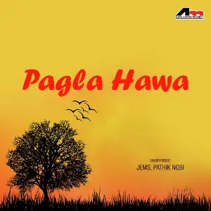 Pagla Hawa image