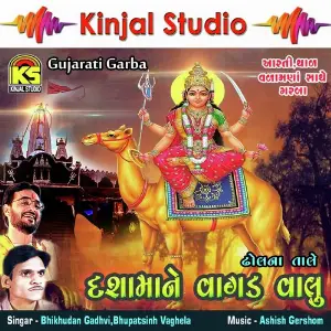 Dashamanu Vagad Valu image