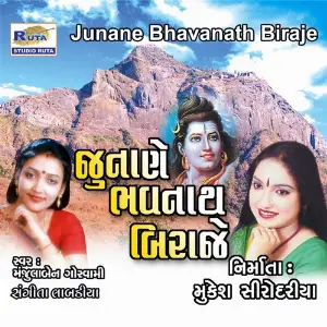 Junane Bhavanath Biraje image