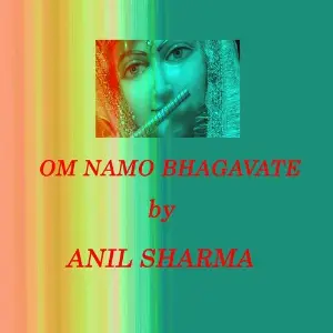 Om Namo Bhagavate Vasudevaya image