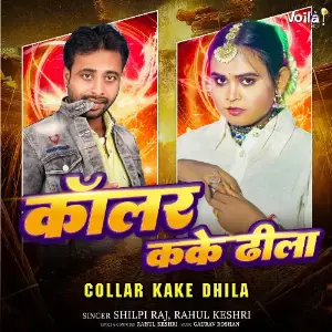 Collar Kake Dhila image
