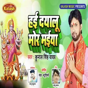 Hai Dayalu Mor Maiya image