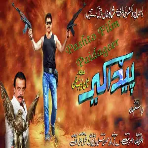 Pashto Film Paidageer Song image