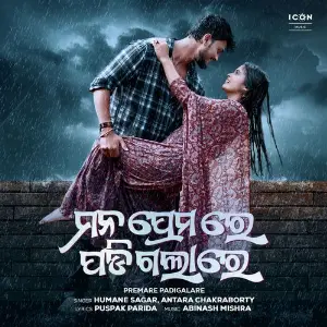 Premare Padigalare image