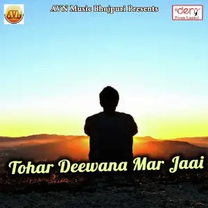 Tohar Deewana Mar Jaai image