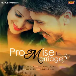 Promise To Marriage image
