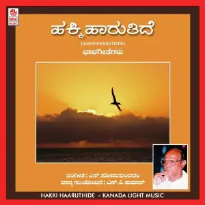 Hakki Haaruthide image