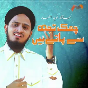 Chamak Tujh Se Pate Hain image