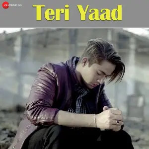 Teri Yaad image