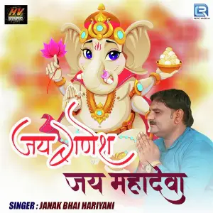 Jai Ganesh Jai Mahadeva image