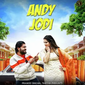 Andy Jodi image