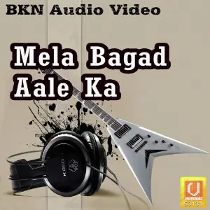 Mela Bagad Aale Ka image