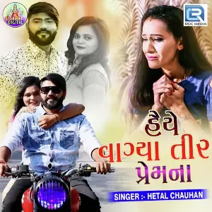 Haiye Vagya Tir Premna image