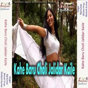 Kahe Baru Choli Jalidar Kaile image
