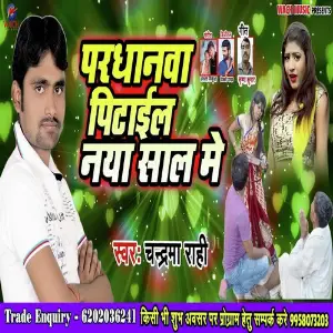 Pardhanwa Pitail Ba Naya Sal Me image
