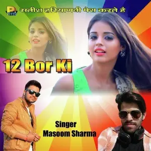 12 Bor Ki image