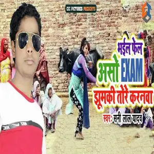 Bhail Fail Aso Exam Jhumuki Tohare Karanwa image