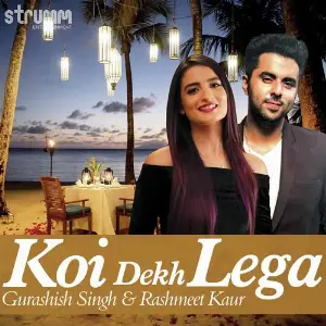Koi Dekh Lega image