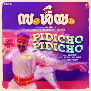 Pidicho Pidicho (From Samshayam) image
