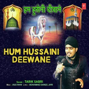 Hum Hussaini Deewane image