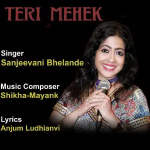 Teri Mehek - Single image