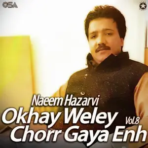 Okhay Weley Chorr Gaya Enh, Vol. 8 image