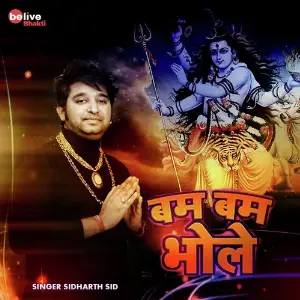 Bam Bam Bhole image