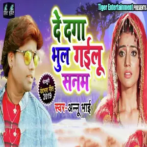 De Dega Bhul Gailu Sanam image