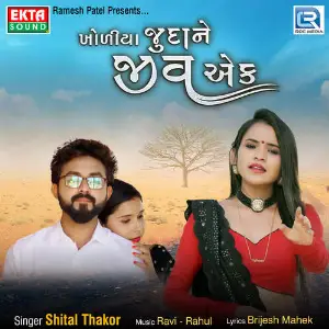 Khodiya Judane Jiv Ek image