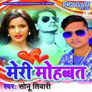 Meri Mohbbat - Single image