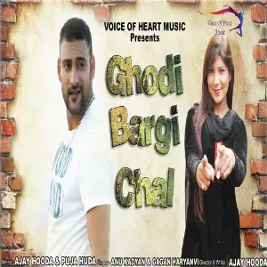 Ghodi Bargi Chaal image
